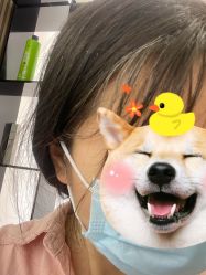 -FANPU·设计