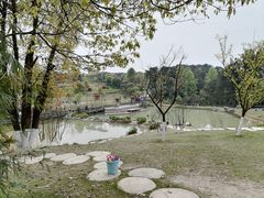 -铁山坪森林公园