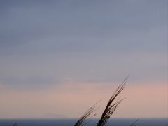 -东澳岛