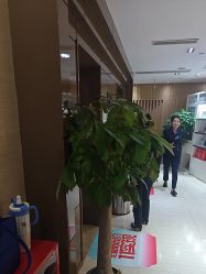 -重庆星宸整形美容医院
