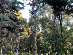 -长春市南湖公园