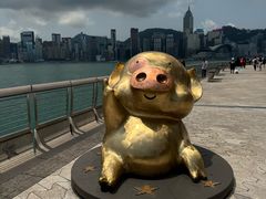 -星光大道