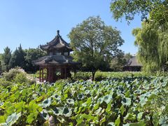 -莲池书院博物馆