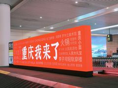 -鸿顺老铁锅美蛙鱼府(解放碑店)