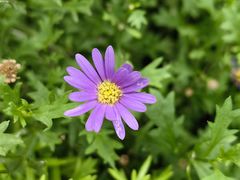 -贵州省植物园