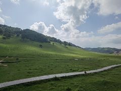 -关山草原