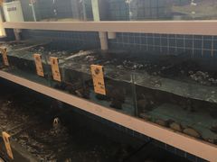 -双海酒店·海鲜家常菜(南戴河店)