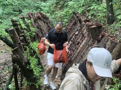 -大余丫山旅游度假区