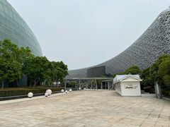 -金鸡湖景区