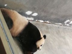-丁家河公园