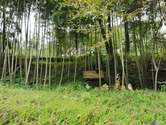 -韶关经律论国际酒店温泉