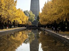 -玲珑塔公园