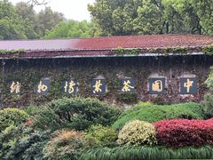 -中国茶叶博物馆(双峰馆区)