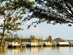 -上海美帆帆船露营基地