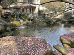 -杭州植物园