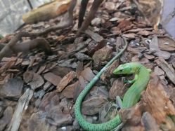 -Zoolung Zoolung动物主题公园(海信广场店)