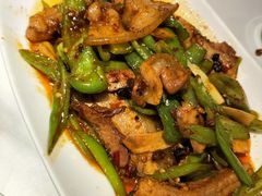 回锅肉-夫妻肺片·中华老字号·正宗川菜(春熙路店)
