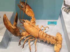 -天津自然博物馆