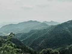 -莫干山风景区