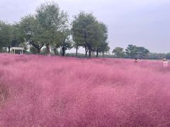 -汉长安城未央宫国家考古遗址公园