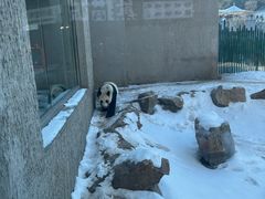 -沈阳森林动物园
