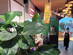 -莽子老火锅(大坪店)