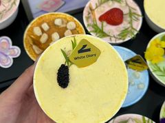 -白色日记·手作酸奶(麦凯乐店)