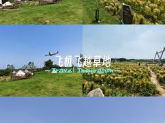 -空港花田景区
