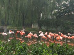 -石家庄市动物园