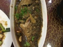 焖烧鲤鱼-喜来登特色餐厅