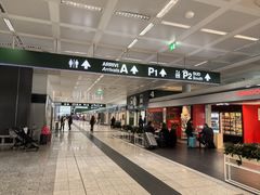 -米兰马尔彭萨国际机场