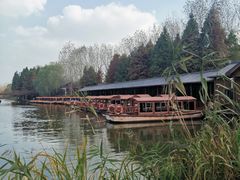 -溱湖国家湿地公园