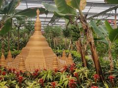 -南宫五洲植物乐园