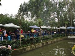 -白鹭湾湿地公园