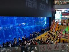 -成都浩海立方海洋公园