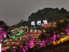 -枇杷园食为鲜火锅(南山店)
