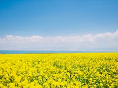 -青海湖国家重点风景名胜区