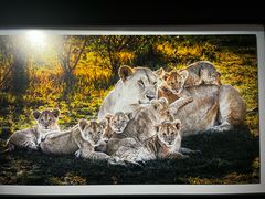 -罗红摄影艺术馆