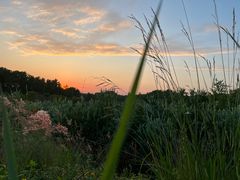 -露天矿生态公园