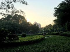 -晓港公园
