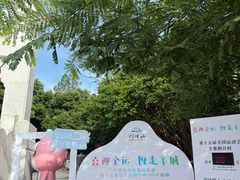 -广州市帽峰山景区