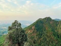 -南山植物园
