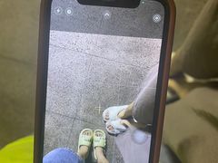 -宝安体育馆游泳馆