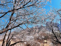 -北京密云天门山风景区