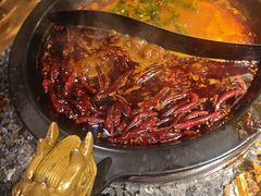 -蜀大侠火锅(建设路第五大道店)