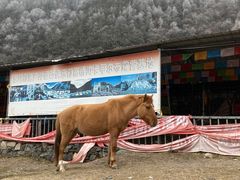 -孟屯河谷景区