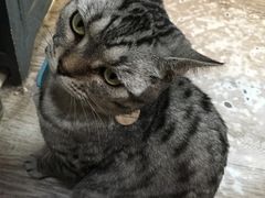 -小时光咖啡馆(北锣鼓巷店)