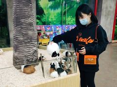 -昆明大悦城未来动物城(螺蛳湾中心店)