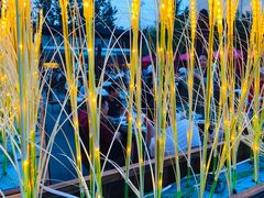 -大东方海鲜酒楼(小武基桥店)