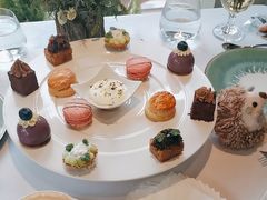 -蝶舍·MAISON PAPILLON